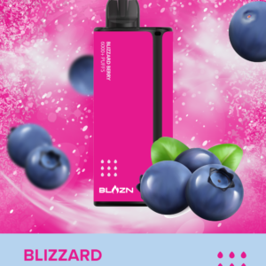 BLAZN DISPOSABLE VAPE - 6000 Puffs - Blizzard Berry