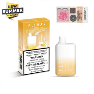 ELF BAR BC5000 Disposable Vape -Pineapple Orange Mint - Pineapple Orange Mint