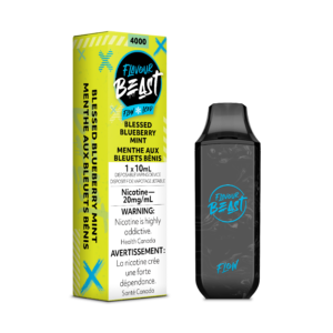 Flavour Beast Flow Rechargeable Disposable 4000 Puffs - Blessed Blueberry Mint