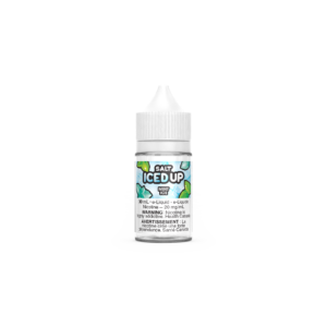Mint Ice By ICED UP SALT - 30 ML
