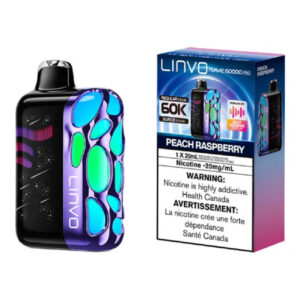 Linvo Rave 60K Disposable Vape - 20 ML - Peach Raspberry