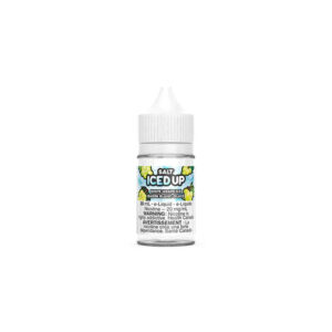 White Grape Ice - Iced Up Salt