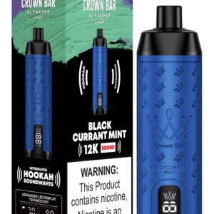 Al Fakher 12000 Puffs - Shisha Hookah Vape - Black Currant Mint - Ontario