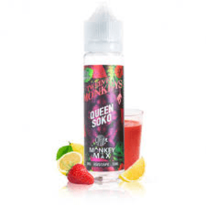 TWELVE MONKEYS FLAVOURS- 60 ML